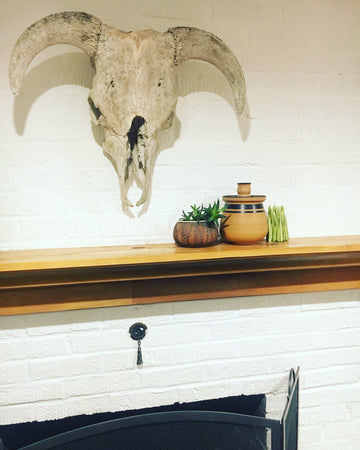 Sunbleached Weathered Vintage Bull Skull with Hanging Wire