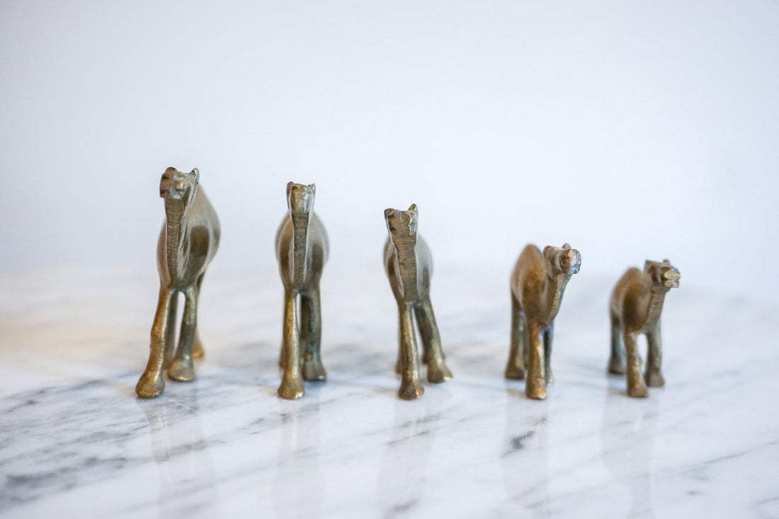 Vintage Solid Mini Brass Camel Pack (Set of 5)