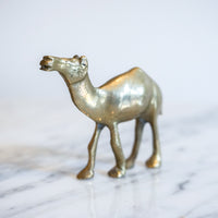 Vintage Solid Mini Brass Camel Pack (Set of 5)