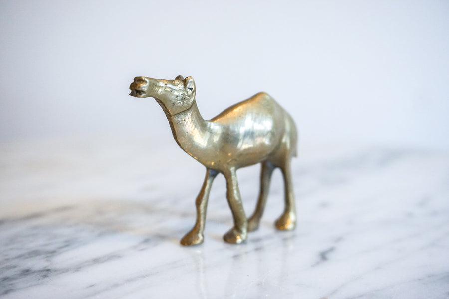 Vintage Solid Mini Brass Camel Pack (Set of 5)