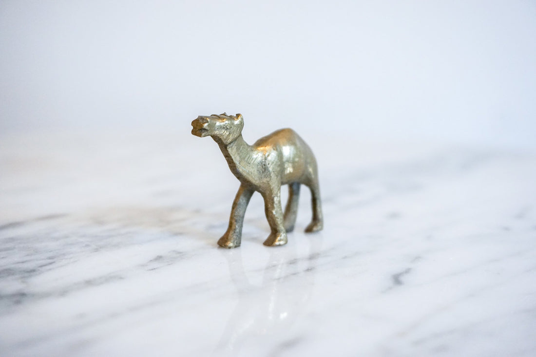 Vintage Solid Mini Brass Camel Pack (Set of 5)