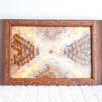 Butterfly Wing Tray From Brazil with Hand Carved Wood Frame and Glass Top