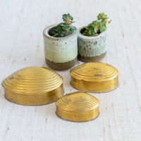 Brass Nesting Shell Boxes with Hinged Lids Set of Three