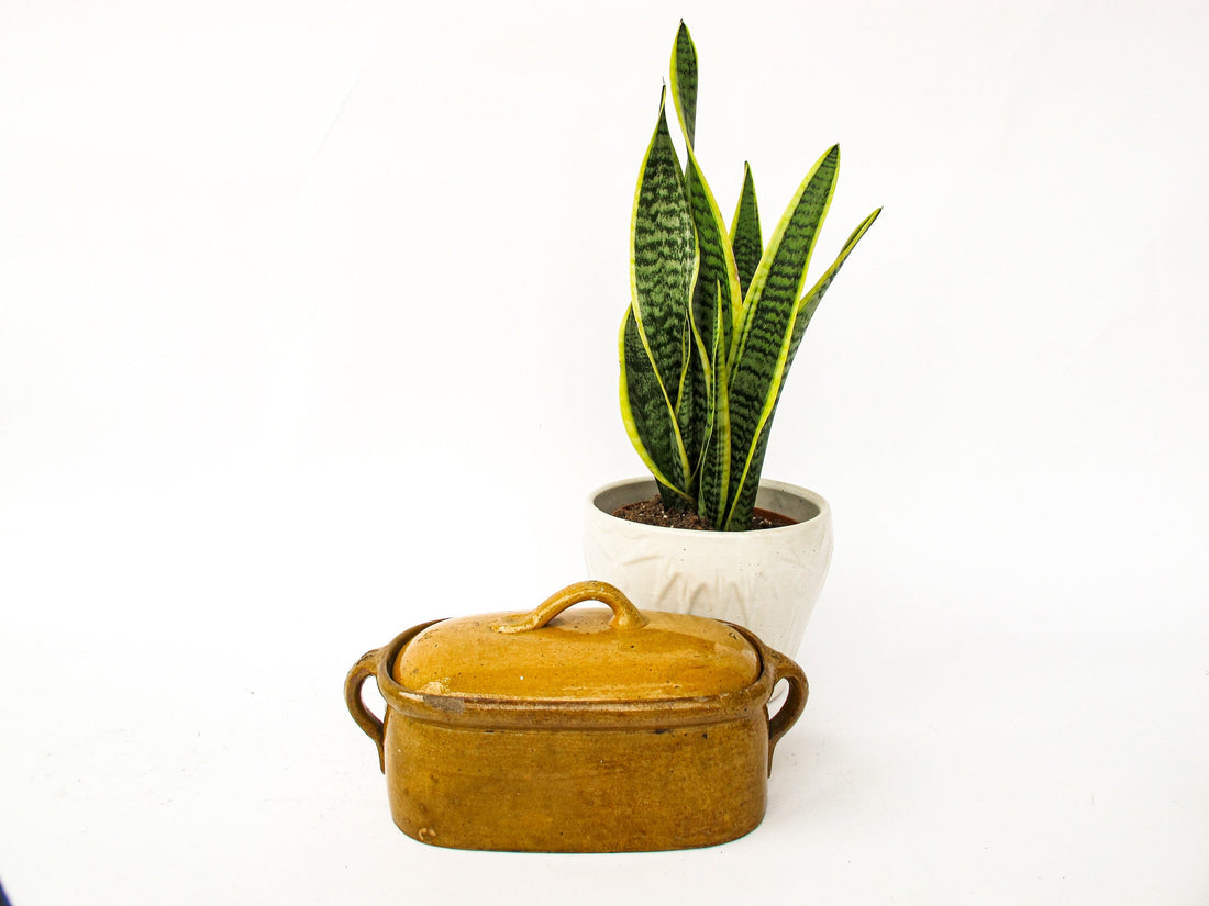 Ceramic Clay Pot with Lid