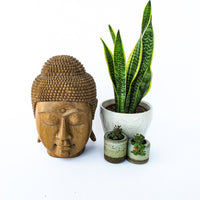 Wood Buddha Head Bali Style
