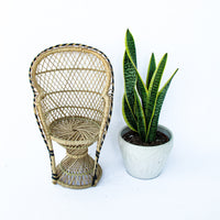 Peacock Chair Plant Stand