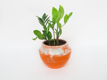 Volcano Ceramic Pottery Plant Pot Made in USA