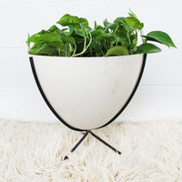 Zenith Eames Style Planter with Black Flashed Metal Stand