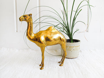 Brass Camel Made in India