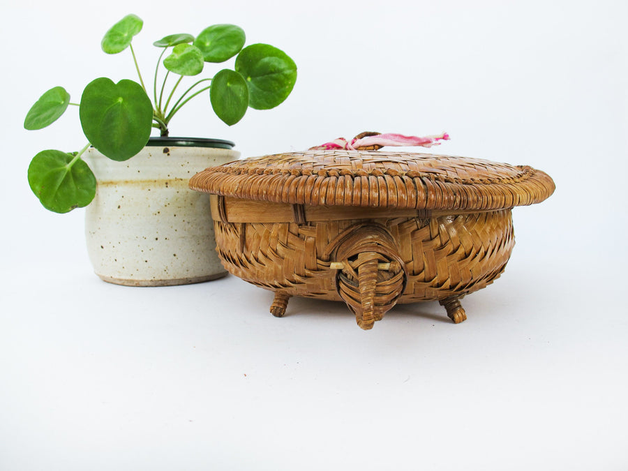 Turtle Basket with Lid