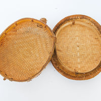 Turtle Basket with Lid