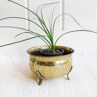 Etched Hammered Brass Plant Pot Holder / Bowl with Legs