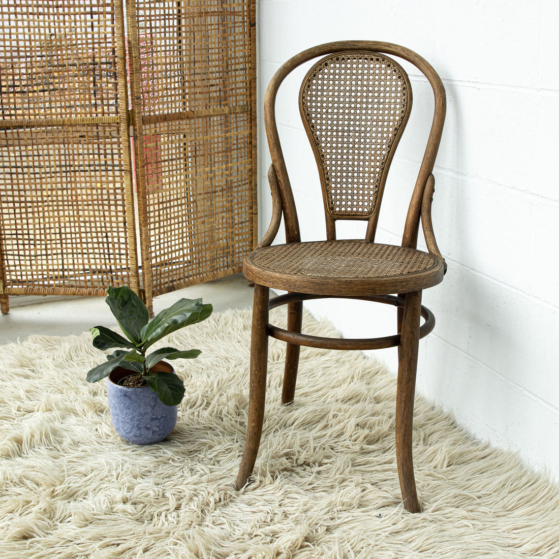 Bentwood Chair with Cane Seat and Back